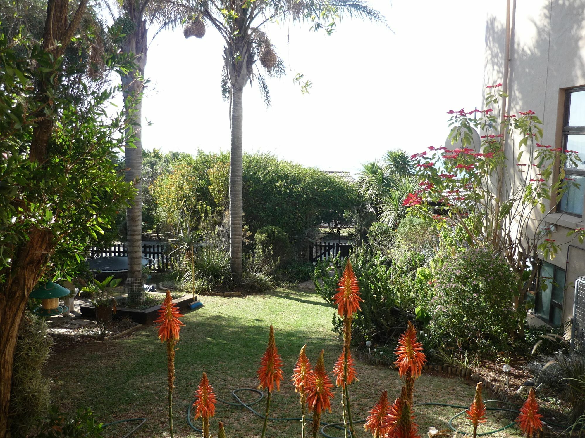 A1 Kynaston Self Catering Or Bed And Breakfast Jeffreysbaai Buitenkant foto