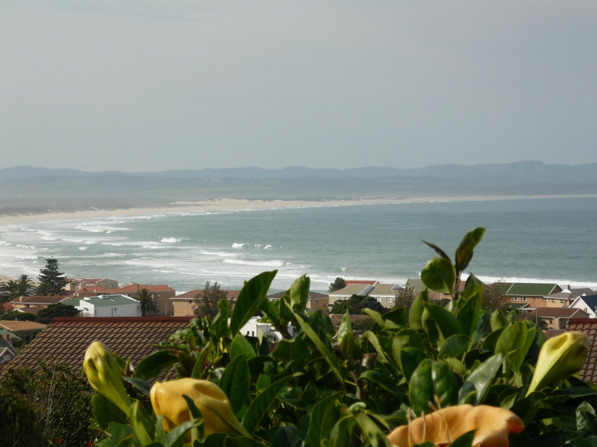 A1 Kynaston Self Catering Or Bed And Breakfast Jeffreysbaai Buitenkant foto